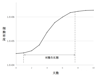 培养细胞的典型生长模式图