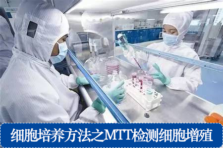 细胞培养方法之MTT检测细胞增殖