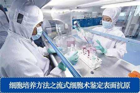 细胞培养方法之流式细胞术鉴定表面抗原