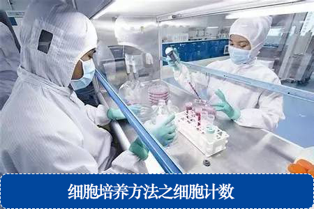 细胞培养方法之细胞计数