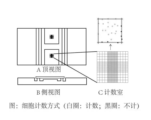 细胞培养方法之细胞计数
