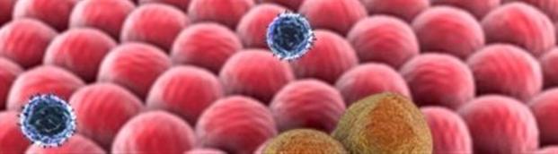 PLoS ONE:新型药物筛选系统可加速脑癌药物开发