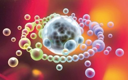 Cancer Res:免疫治疗与放射治疗结合能更有效治疗癌症