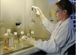 山东细胞实验:细胞培养环境、设备、耗材与试剂