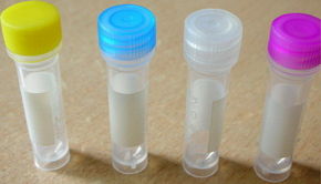 山东细胞实验:细胞的冻存和复苏（以293细胞为例）