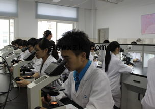 2015年度医学检验专业技术资格考试安排已经确定