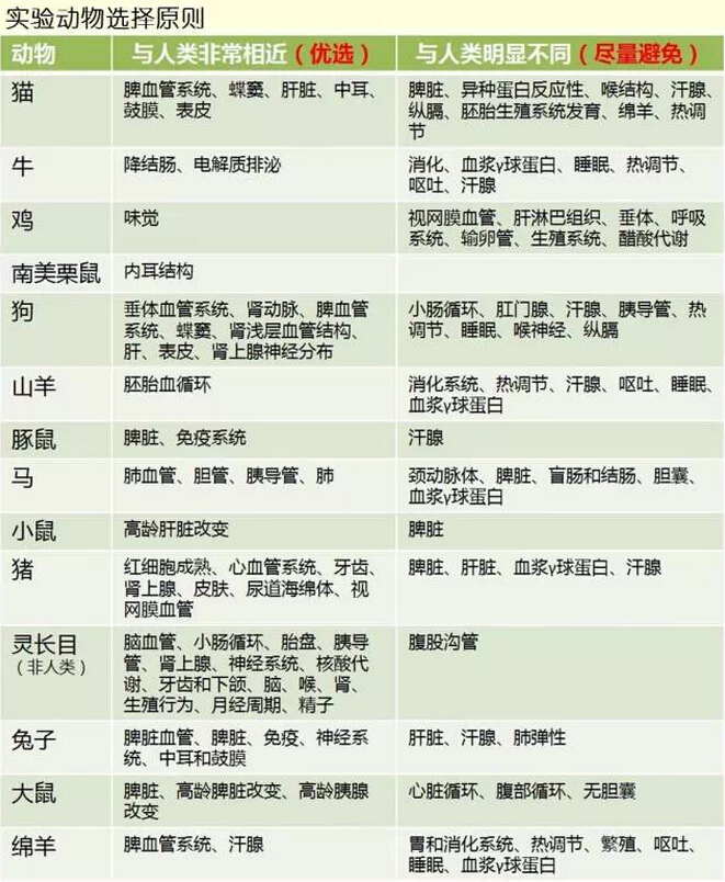 医学基础|实验动物选择原则