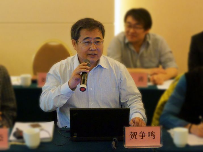 中国食品药品检定研究院贺争鸣研究员讲话