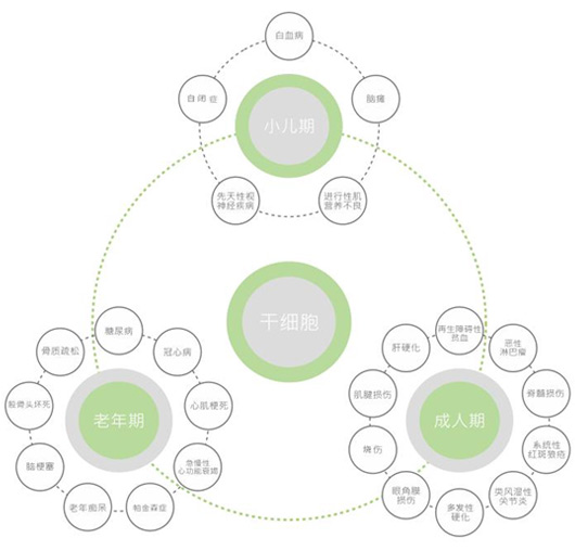 干细胞技术