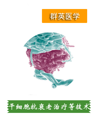 干细胞抗衰老、肝细胞治疗等技术