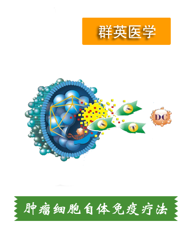 肿瘤细胞自体免疫疗法