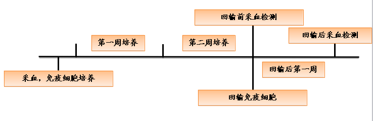 免疫细胞治疗方案