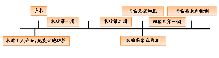 免疫细胞与手术联合治疗方案