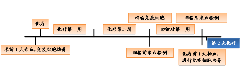 免疫细胞与化疗联合治疗方案