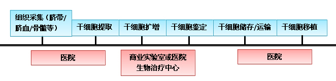 间充质干细胞治疗模式