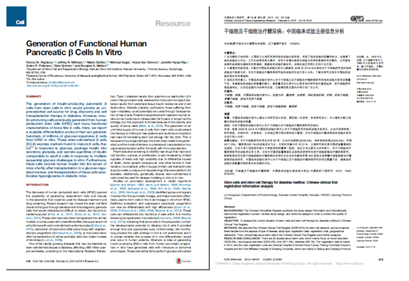 干细胞对胰腺修复的研究