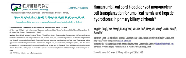 干细胞对肝脏损伤修复的研究