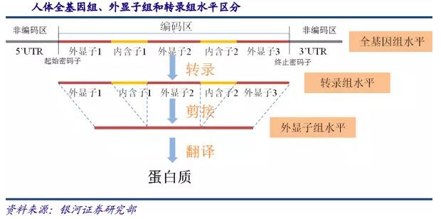 基因测序发展新态势：在上游发展三四代技术，在下游完成样本积累