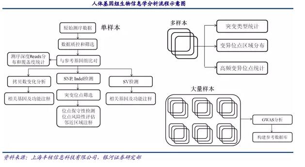 基因测序发展新态势：在上游发展三四代技术，在下游完成样本积累