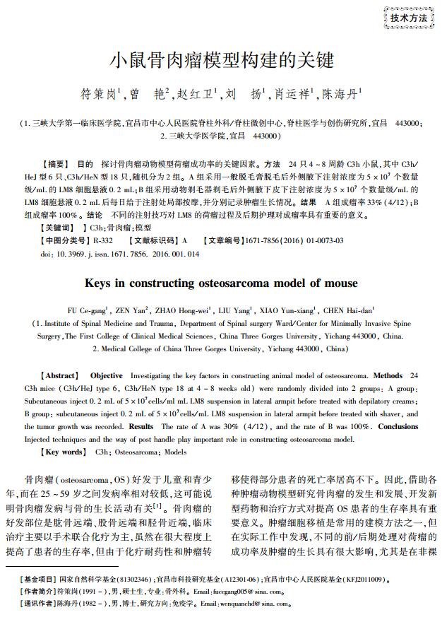 小鼠骨肉瘤模型构建的关键
