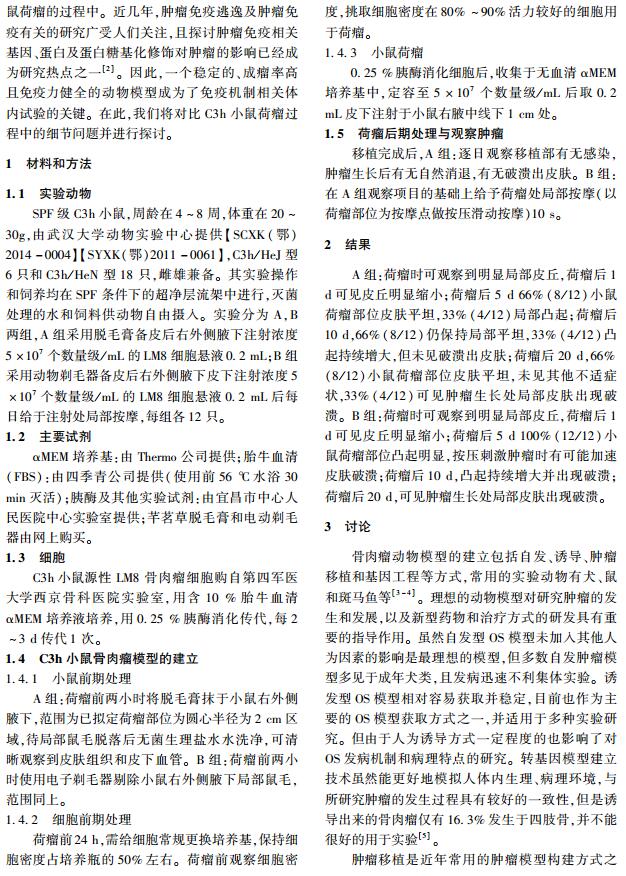小鼠骨肉瘤模型构建的关键