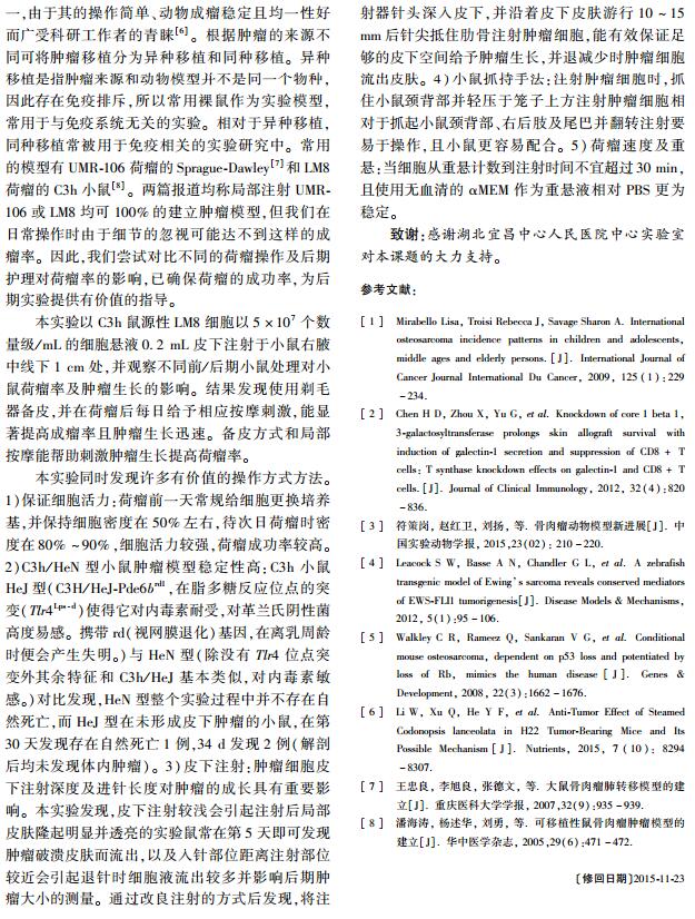 小鼠骨肉瘤模型构建的关键