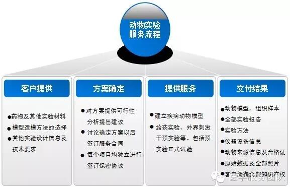 群英医学动物模型构建服务