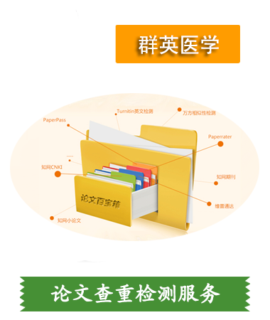 论文查重检测服务