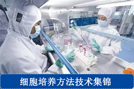 细胞培养方法技术集锦