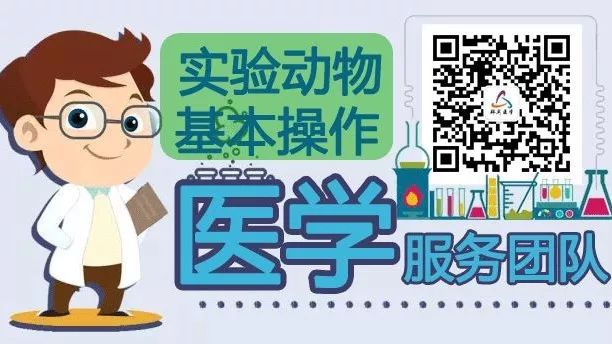 实验动物视频教程系列：大鼠抓取技巧